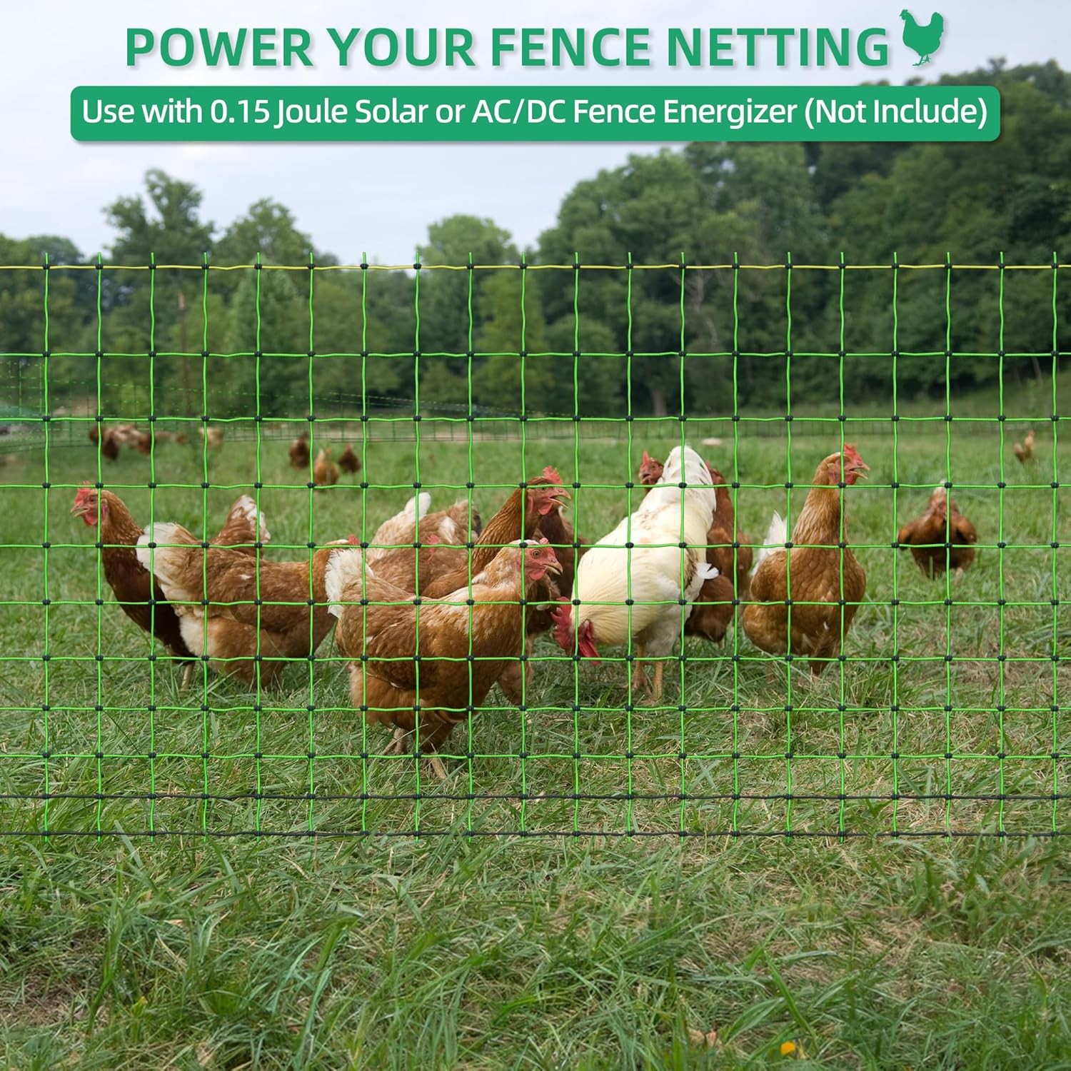 Portable Electric Poultry Netting Fence 47.5″H x 168′ L Livestock Nets Mesh