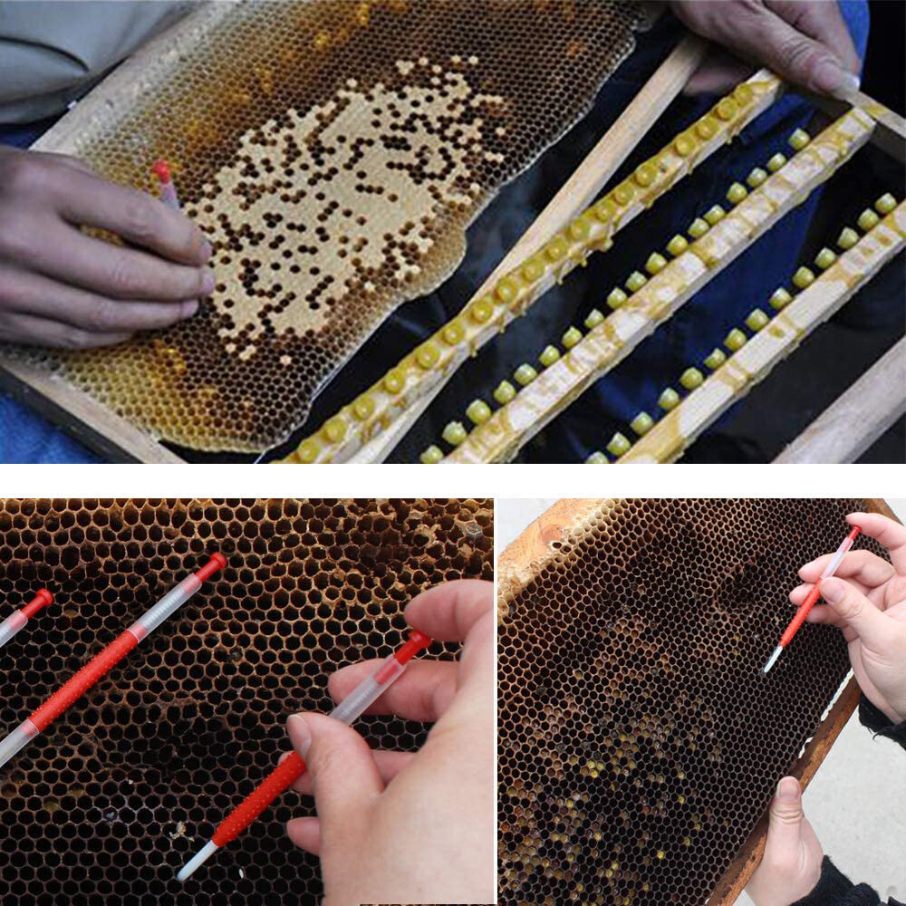 10PC Beekeeping Queen Rearing Grafting Tools Beekeeper Bee Hive Retractable Kit