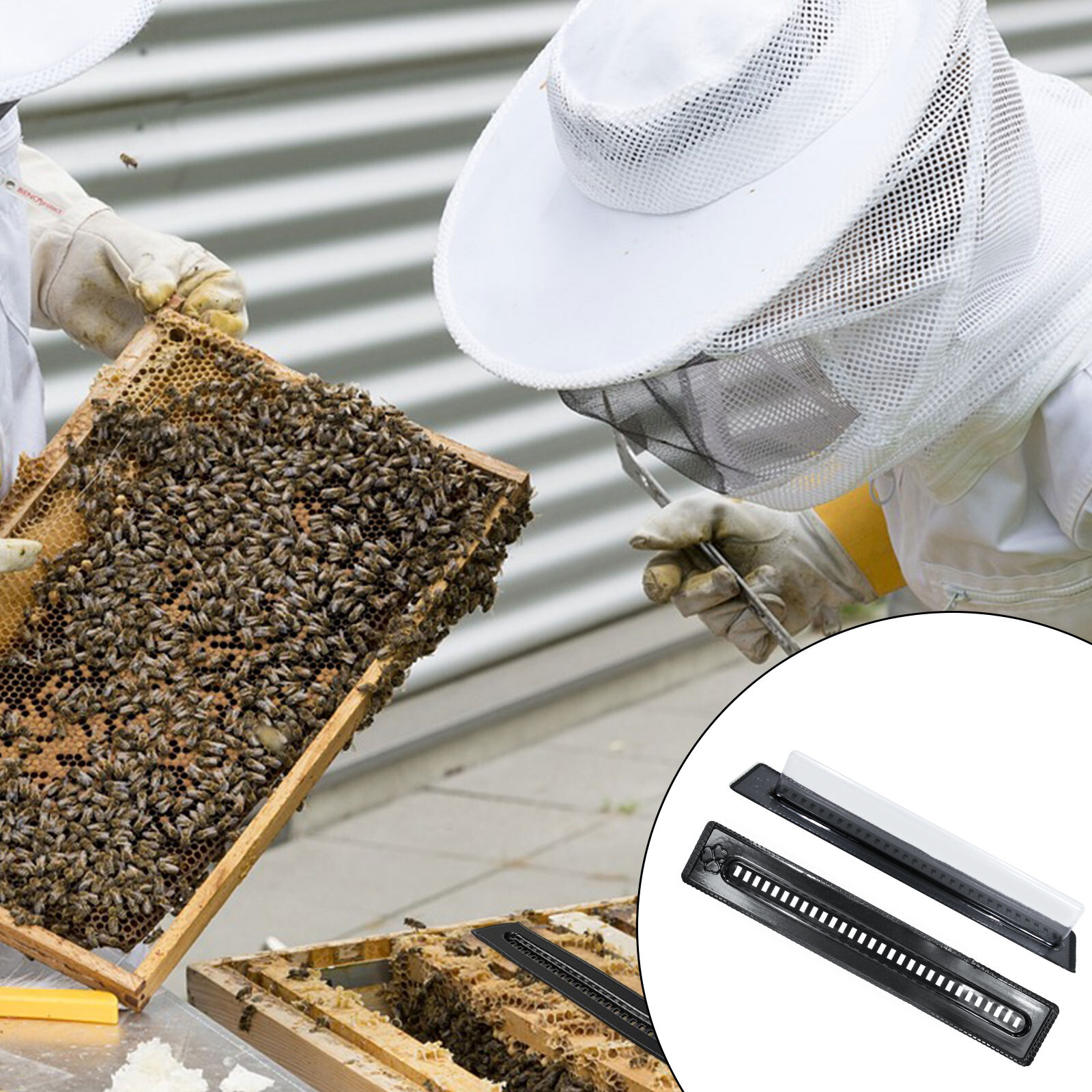 20X Black Bee Hive Beetle Blaster BeeHive Beetle Trap Beekeeping Tool Reusable