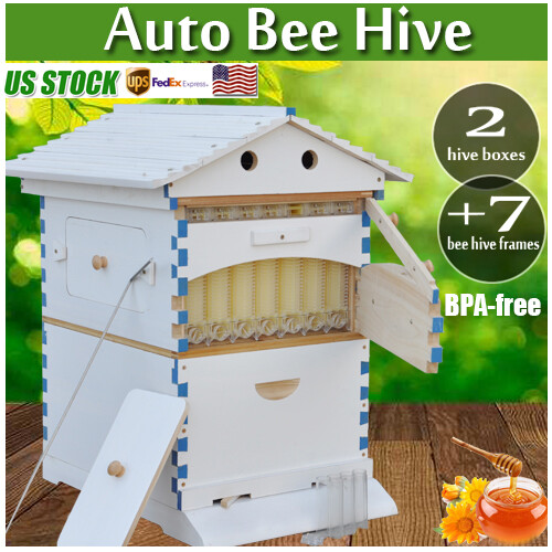 2026 White Wooden Auto Bee Hives Cedarwood + 7PCS Beekeeping Honey Hive Frames