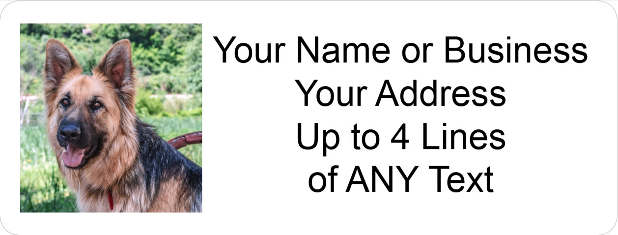 60 Personalized Address Labels with Your Pet Photo Custom Stickers Tag Free Ship