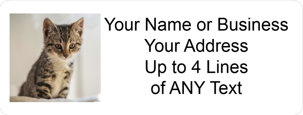 60 Personalized Address Labels with Your Pet Photo Custom Stickers Tag Free Ship