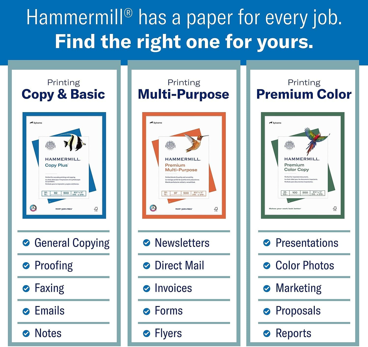 8.5-Inch X 11-Inch Premium Color Copy Paper, 28 Lbs., 100 Brightness, 2500 Sheet