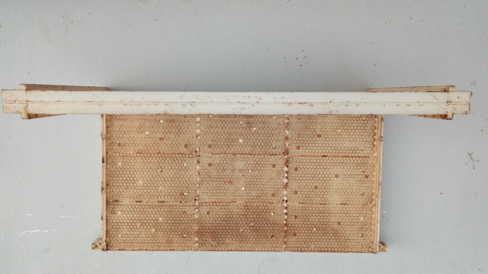 Plastic Fully Drawn Bee Hive Frames, White, 10 Frames, Standard Deep Size(9 1/8)