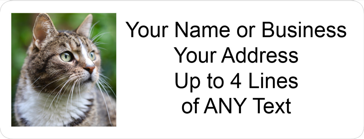 60 Personalized Address Labels with Your Pet Photo Custom Stickers Tag Free Ship