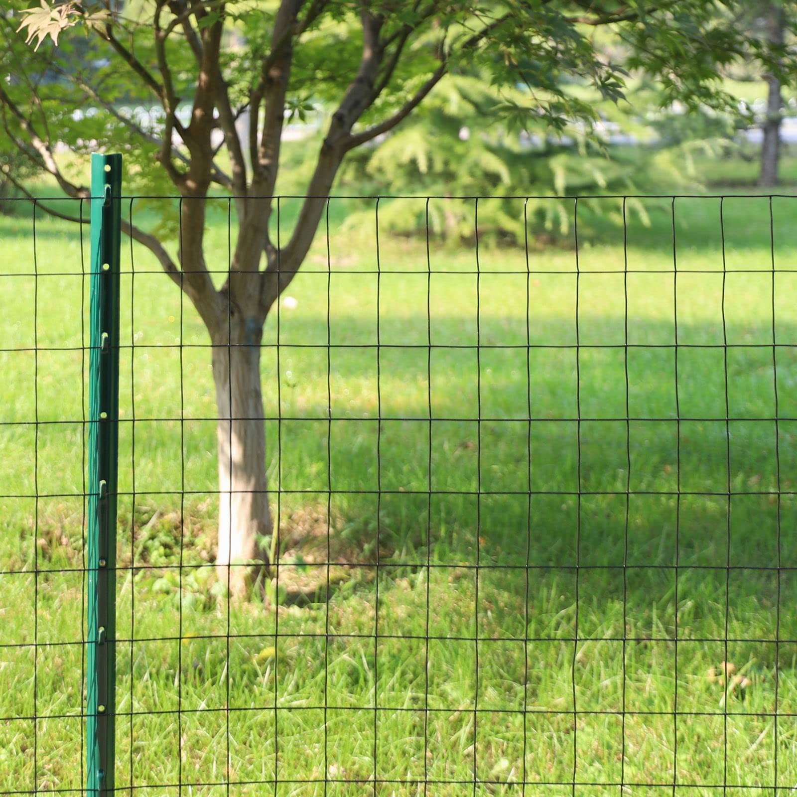 Black PVC Coated Welded Wire Fence 48 Inch x 50 Foot, 2 Inch x 3 Inch 16GA, G…