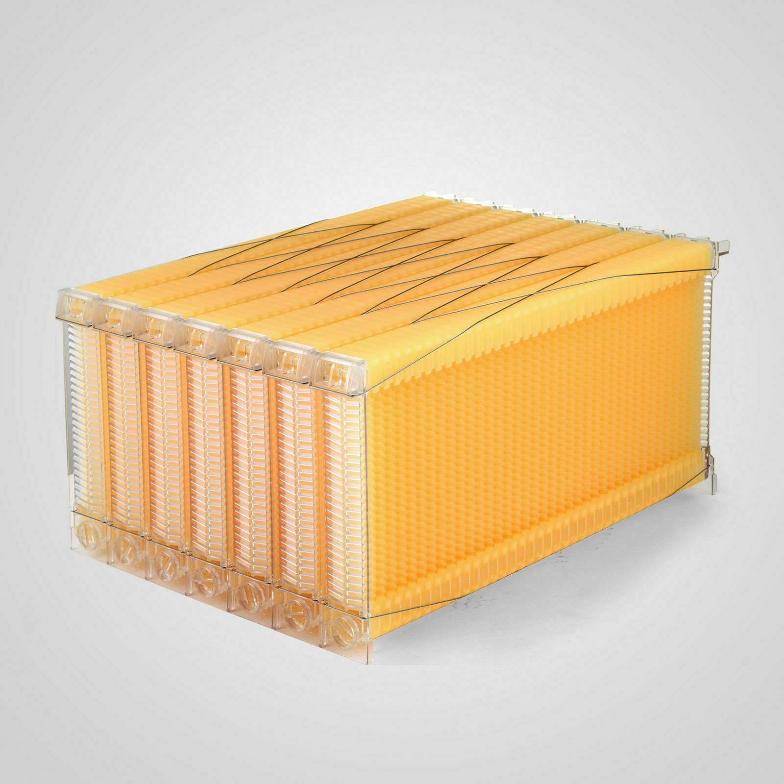 7x Auto Shed Honey Bee Hive Frames + Brood Beehive House Box Complete Beekeeping