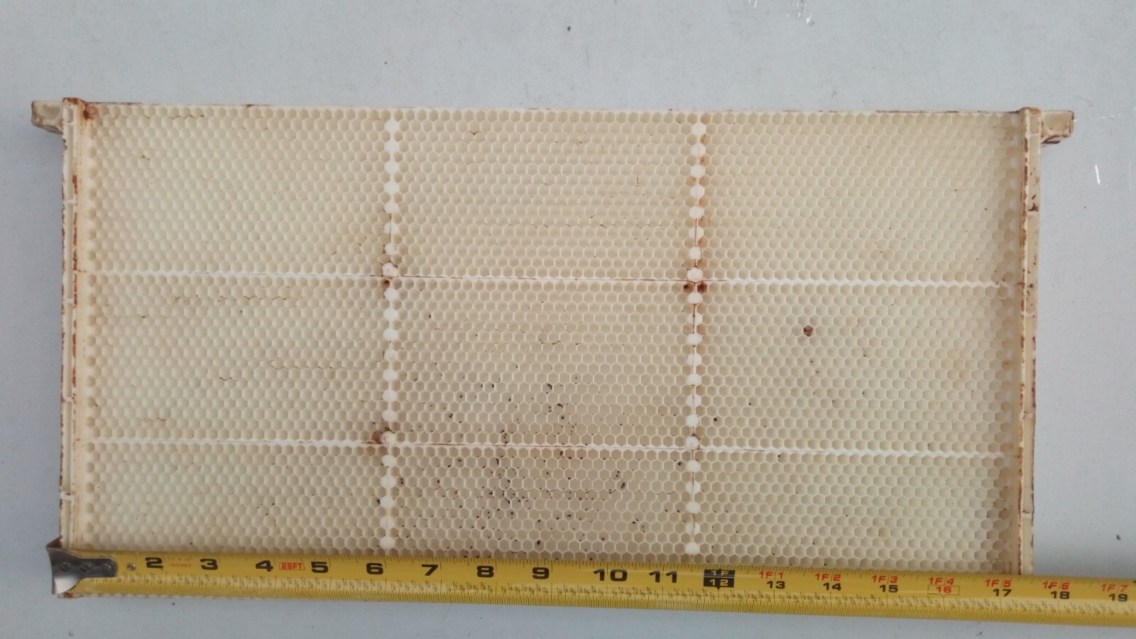 Plastic Fully Drawn Bee Hive Frames, White, 10 Frames, Standard Deep Size(9 1/8)