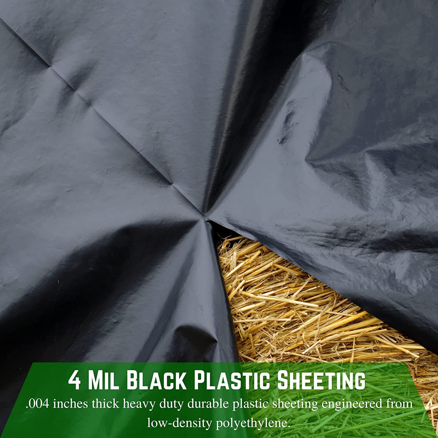 Poly Cover – 4 Mil Black Plastic Sheeting