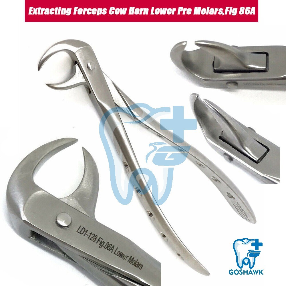 Cow Horn Lower Pre Molars, Fig 86A Perforated Handles Dental Extracting Forceps