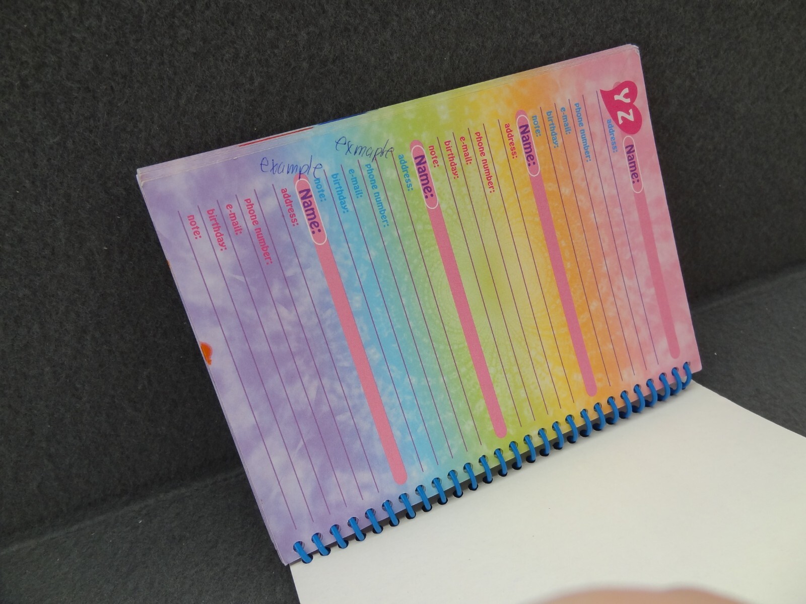 Lisa Frank 5×7 2000 Agenda Address Book Schedule Calendar Contact Spiral Cat Y2K