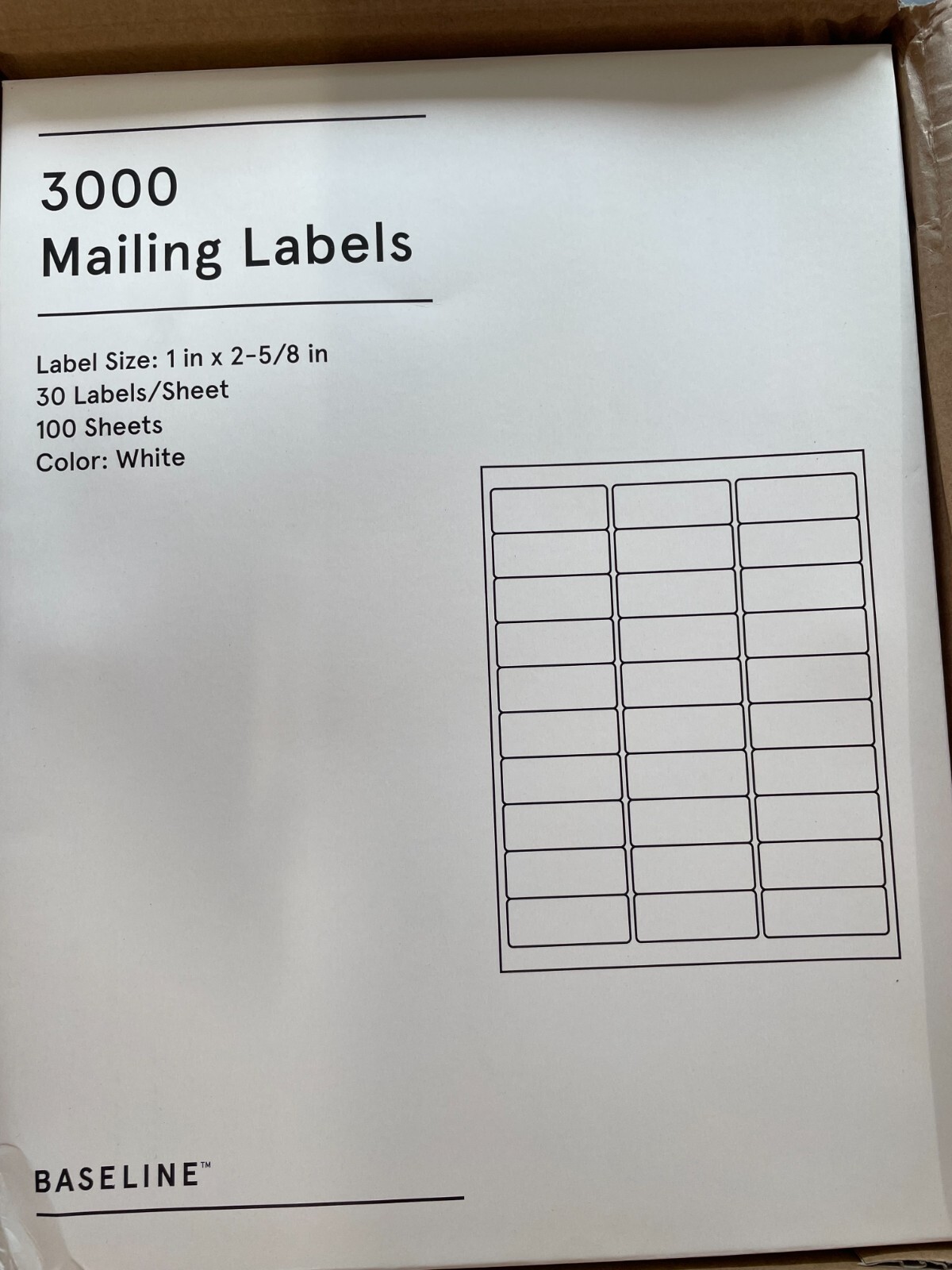 1 x 2 5/8 30,000 Mailing Address Shipping Labels Self Adhesive 1000 sheets of 30