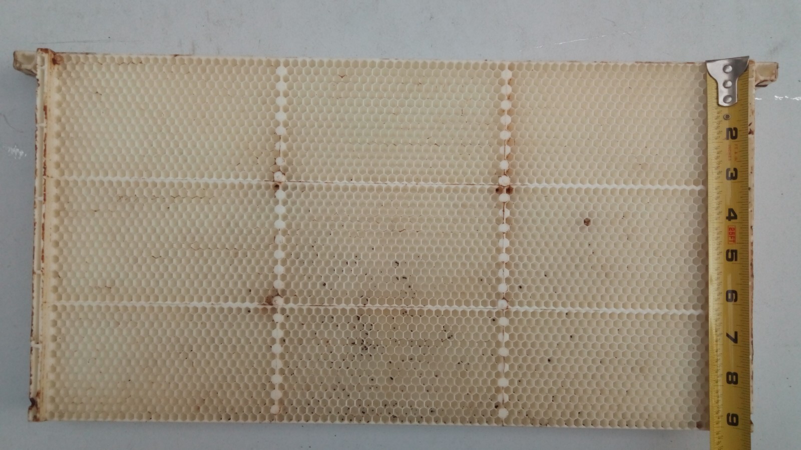 Plastic Fully Drawn Bee Hive Frames, White, 10 Frames, Standard Deep Size(9 1/8)