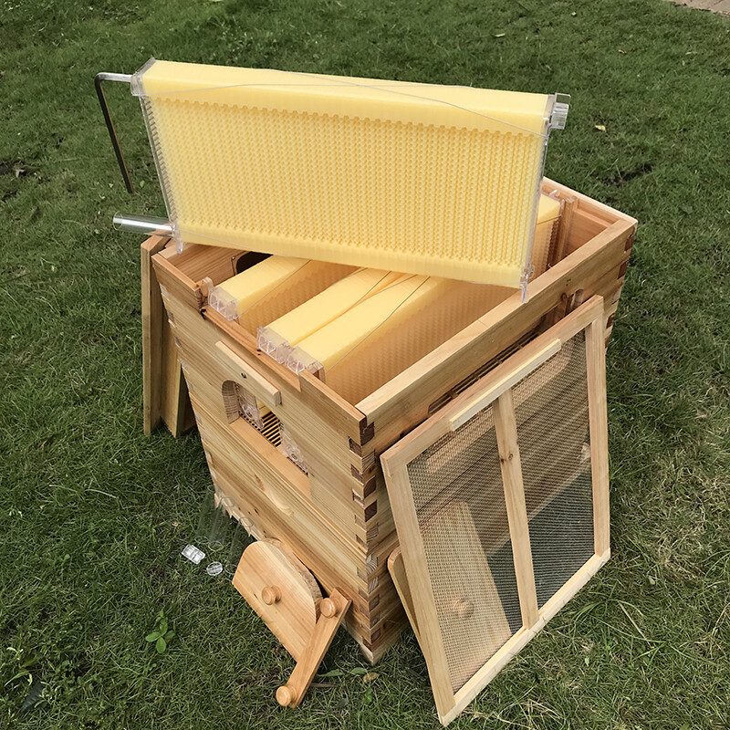 7 x Beekeeping Frames Bee Hive Frame for Auto Shed Beehive House Honey Boxes US