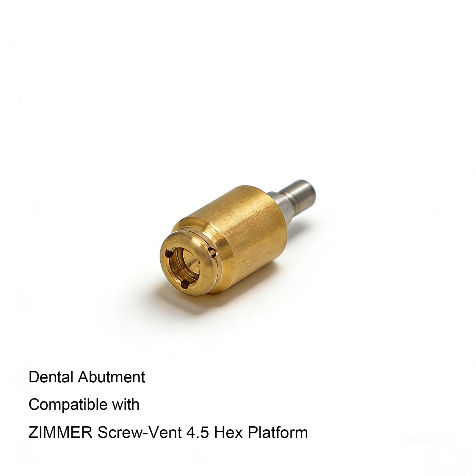 Zest Locator attachment system Zimmer TSV 4.5mm platform Internal hex connection