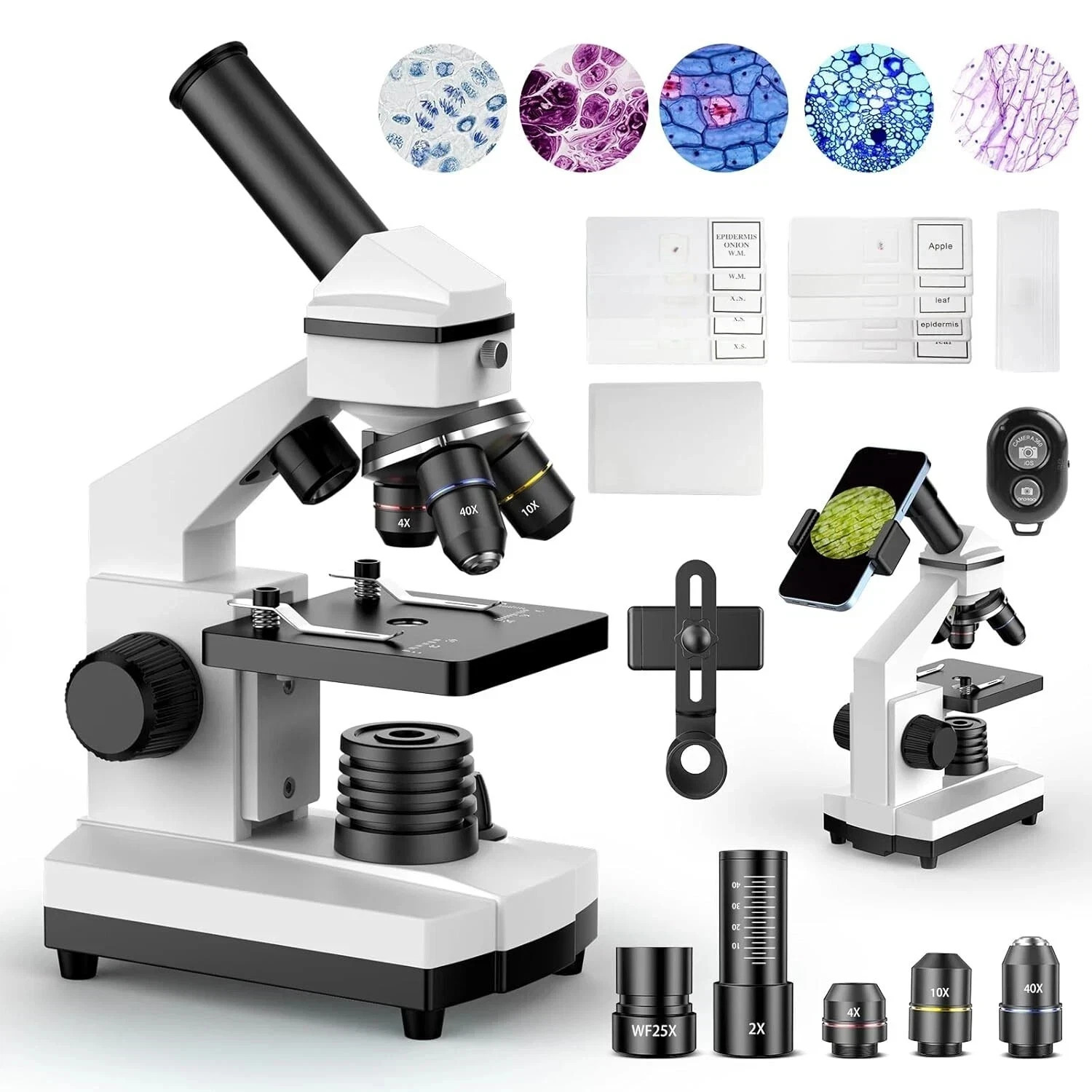 Compound Microscope – 100X-2000X High-Power Biological Microscope(White)