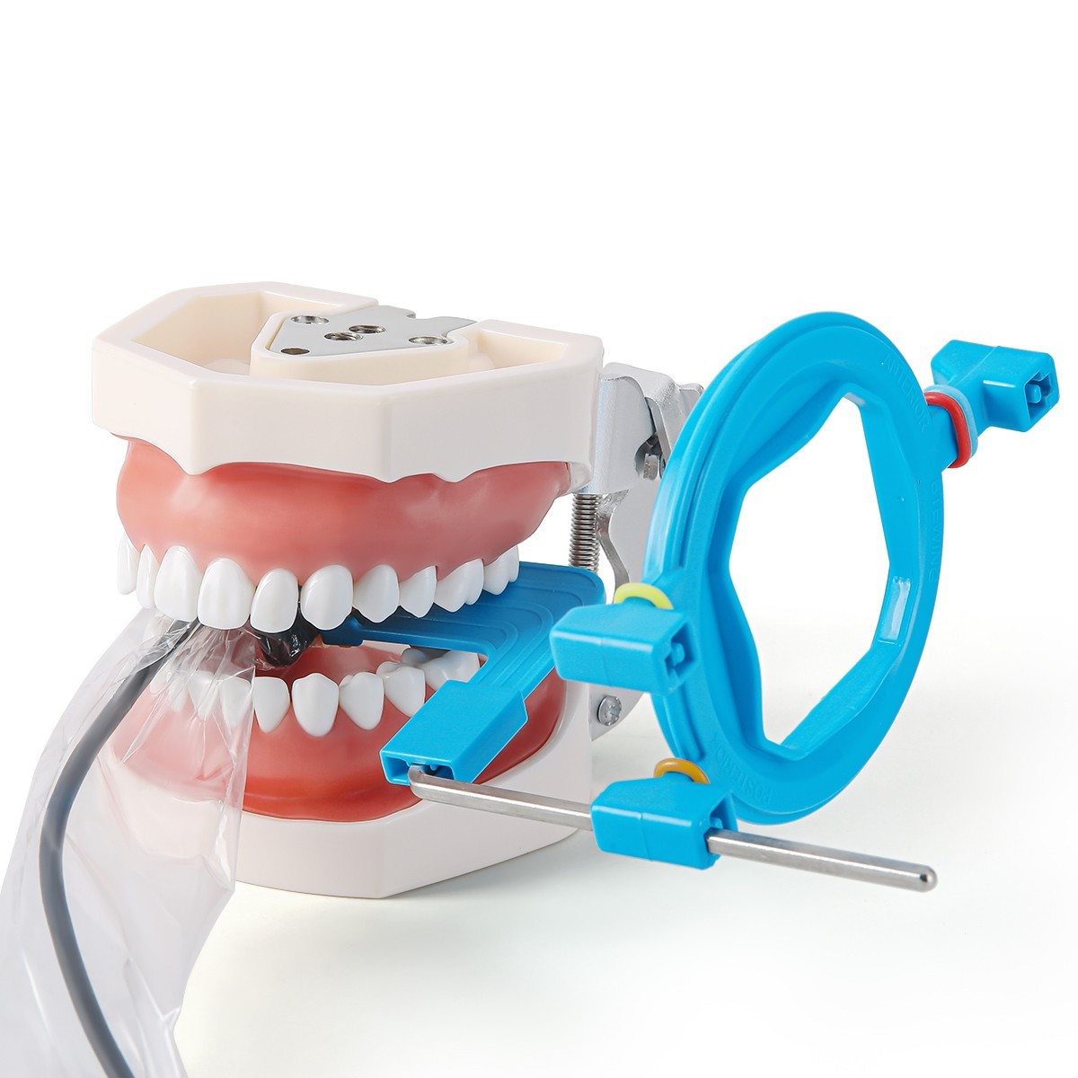 Dental Lab Vacuum Dust Collector Extractor Dust Suction Cleaner Machine 60W