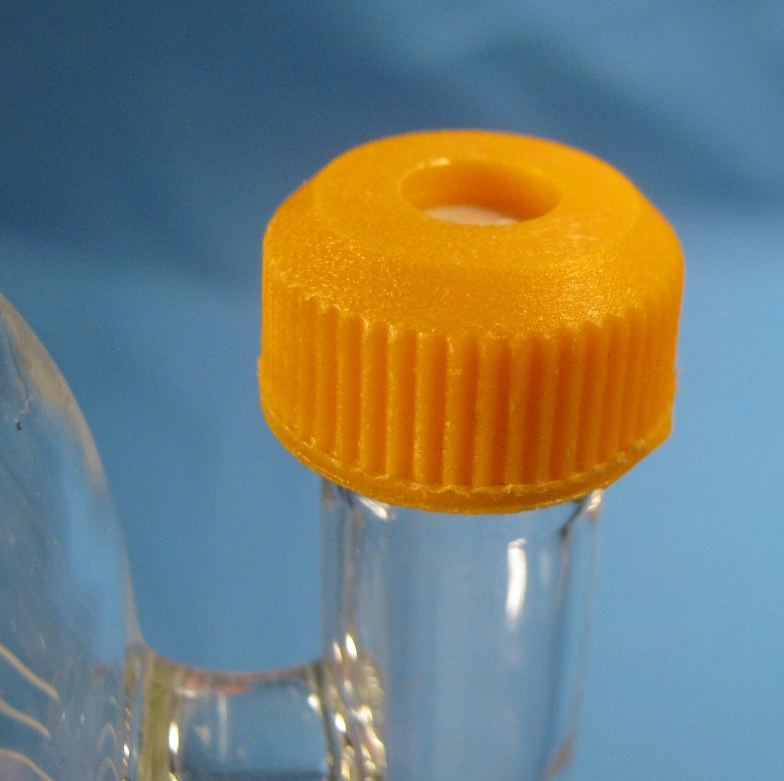 DELTAWARE 125 ML POWDER ADDITION FUNNEL WITH PTFE AUGER 24/40 FREE SHIPPING