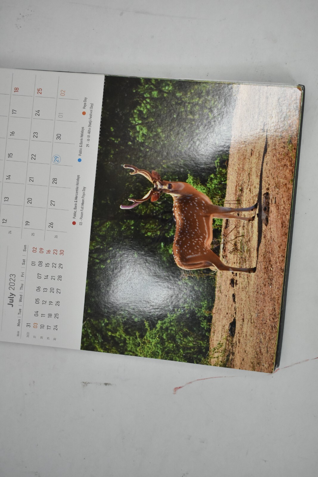 Sri Lanka 2023 Post Card Calendar Hardcover Sprial Bound 7″ x 9-1/2″ Black